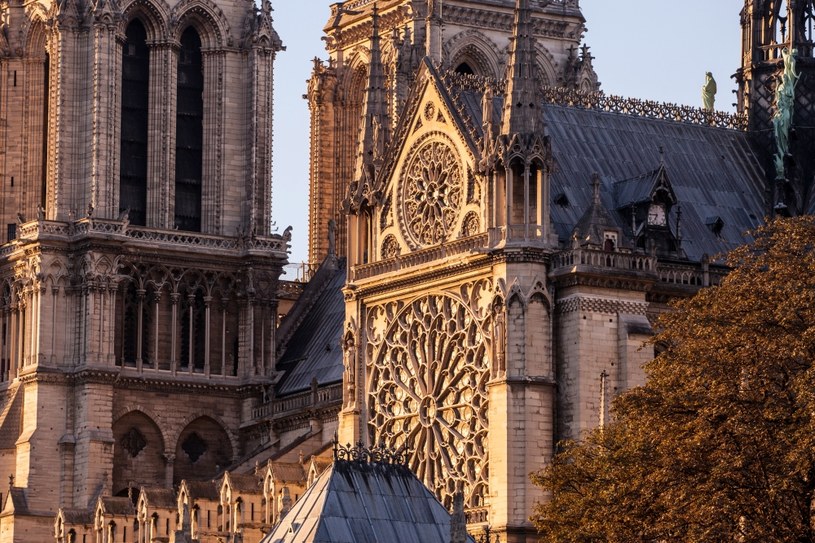 Dlaczego katedra Notre Dame jest tak wysoka? To zasługa wykorzystania żelaza /123RF/PICSEL