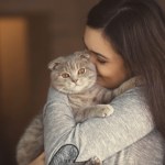 Dlaczego kot nagle cię ignoruje? Nie zawsze chodzi o "focha"