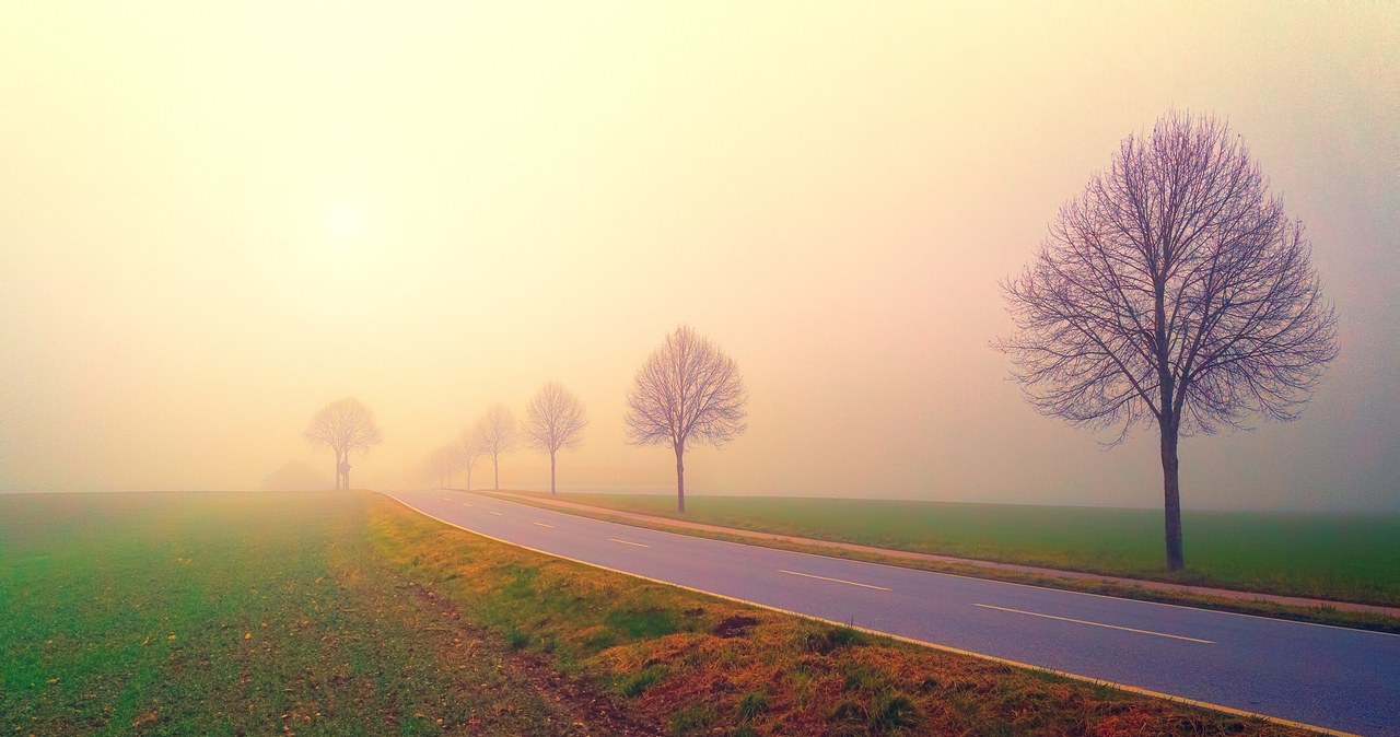 Dlaczego mgła znika, gdy zaczyna świecić słońce? /Joe /Pixabay.com