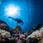 Dlaczego morze jest niebieskie? Odkrywamy największą tajemnicę oceanów