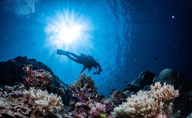 Dlaczego morze jest niebieskie? Odkrywamy największą tajemnicę oceanów