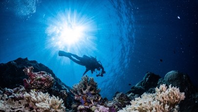 Dlaczego morze jest niebieskie? Odkrywamy największą tajemnicę oceanów
