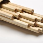 Dlaczego myszy ciągle gryzą? Naukowcy odkryli, co się dzieje w ich mózgu