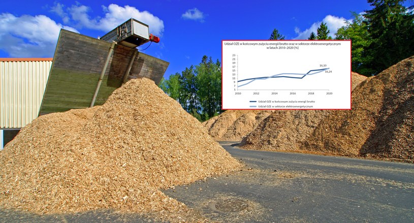 Dlaczego nie zwiększamy produkcji energii elektrycznej z biomasy? - pyta NIK /123RF/PICSEL