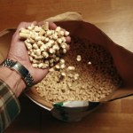 Dlaczego pellet jest tak drogi? Oto powody, które windują ceny