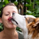 Dlaczego pies liże właściciela? Co oznacza psi język miłości? 