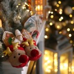 Dlaczego renifer Rudolf ma czerwony nos? To pytanie rozpala ciekawość badaczy