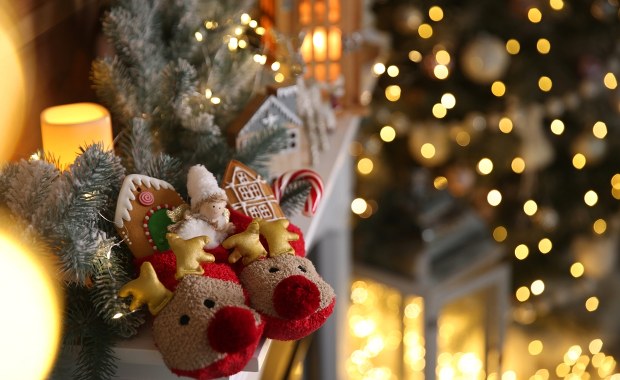 Dlaczego renifer Rudolf ma czerwony nos? To pytanie rozpala ciekawość badaczy