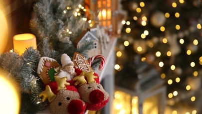 Dlaczego renifer Rudolf ma czerwony nos? To pytanie rozpala ciekawość badaczy