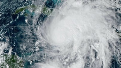 Dlaczego tak potężny huragan nosi nazwę uspokajającego zioła?