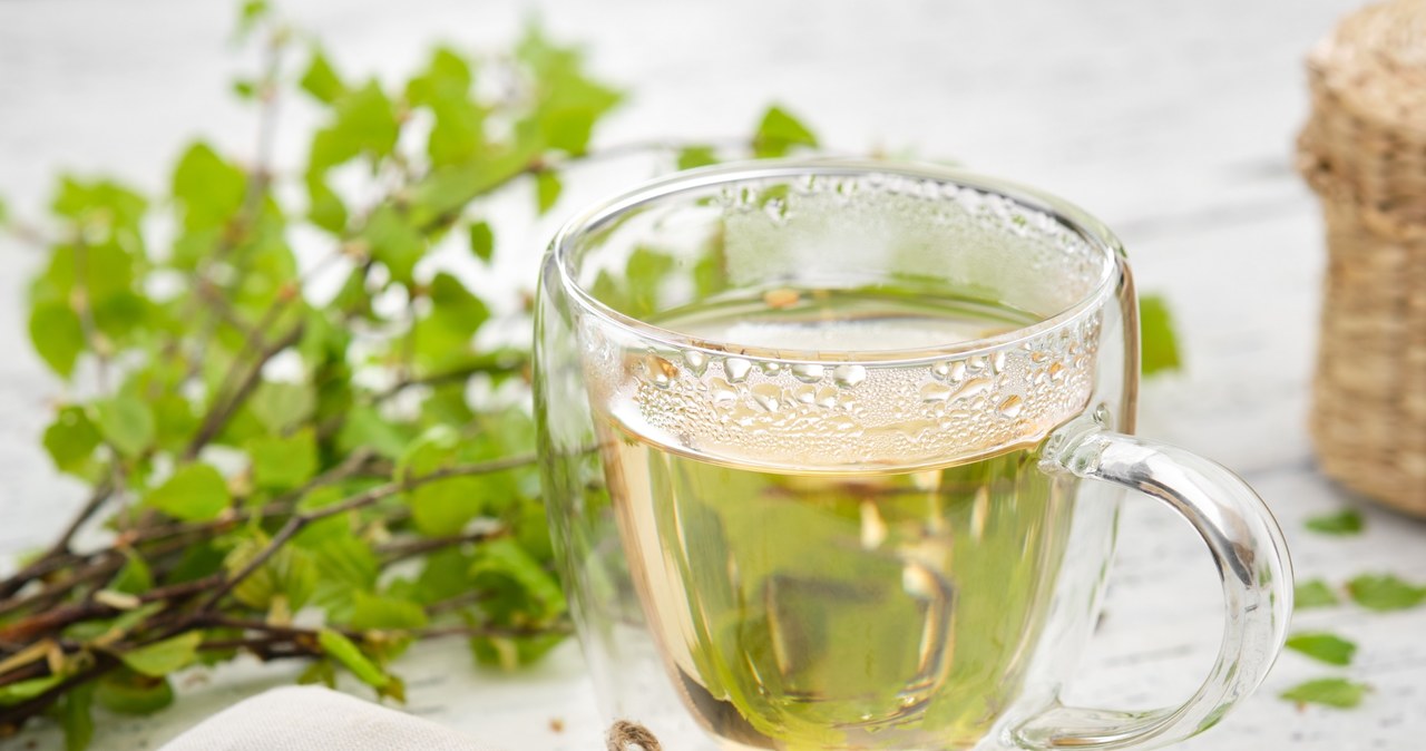 Dlaczego warto pić herbatę z młodych liści brzozy? | Fot. 123RF/Picsel /123RF/PICSEL