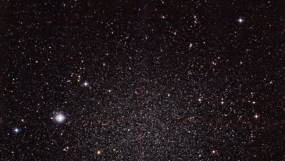 Dlaczego warto podglądać nieśmiałą sąsiadkę