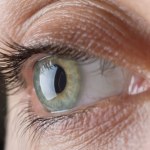 Dlaczego wyewoluowało tyle rodzajów oczu? Naukowcy odkryli coś w symulatorze