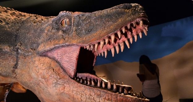 Dlaczego wyginęły dinozaury? /AFP