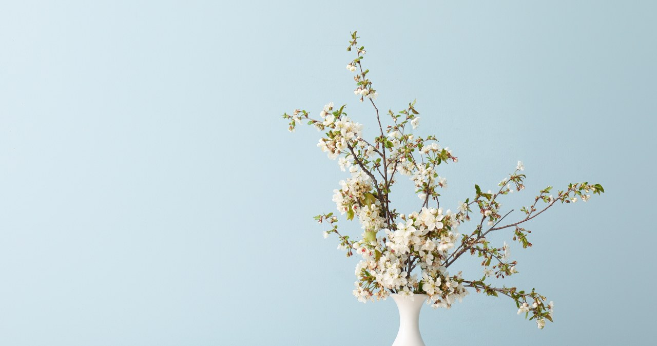 Długie, wąskie wazony trudno wyczyścić. Na szczęście z pomocą przychodzi nam ryż. /Pixel