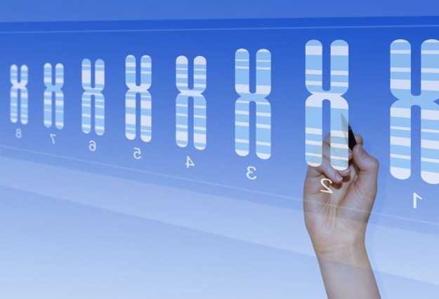 Długość telomerów kluczowa w walce z przeziębieniami /123RF/PICSEL