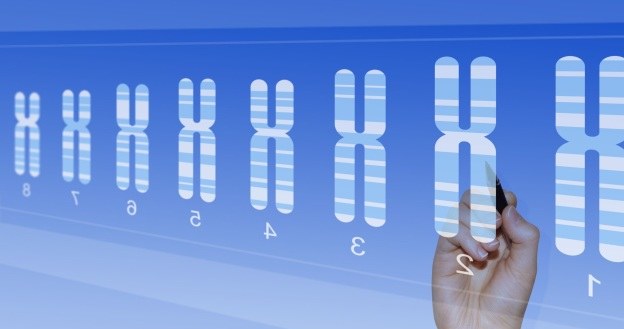 Długość telomerów kluczowa w walce z przeziębieniami /123RF/PICSEL