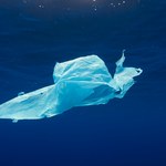 Długowieczny plastik problemem dla mórz. W Zatoce Neapolitańskiej znaleziono opakowanie sprzed 40 lat