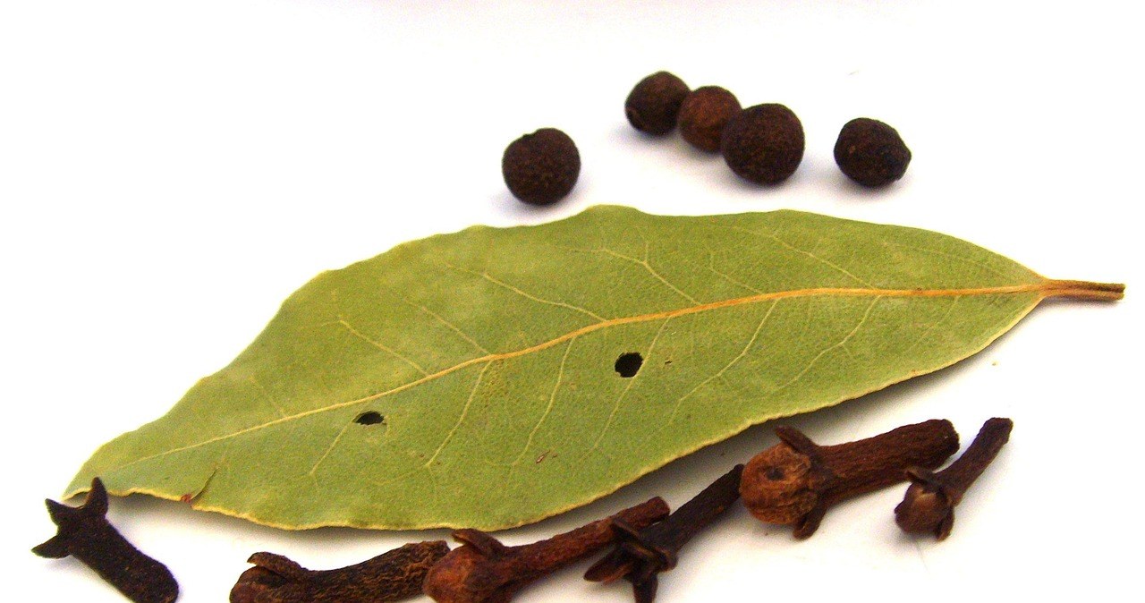 Для більш пряного ефекту, лаврове листя можна покласти в пакет разом із гвоздикою та повісити над радіатором /pixabay.com