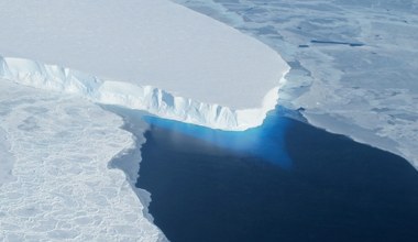 DNA identyfikuje czterech marynarzy wyprawy arktycznej sprzed 180 lat 