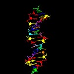 DNA na osiem liter. W sam raz do szukania obcego życia