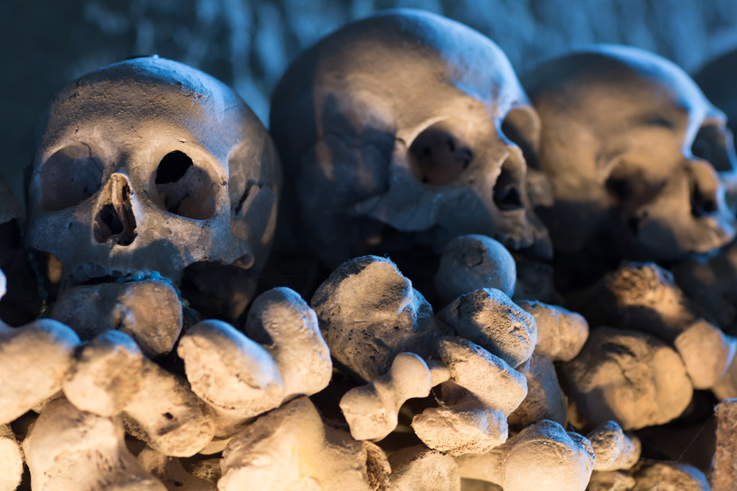 DNA starożytnego patogenu zostało wykryte w trzech szkieletach