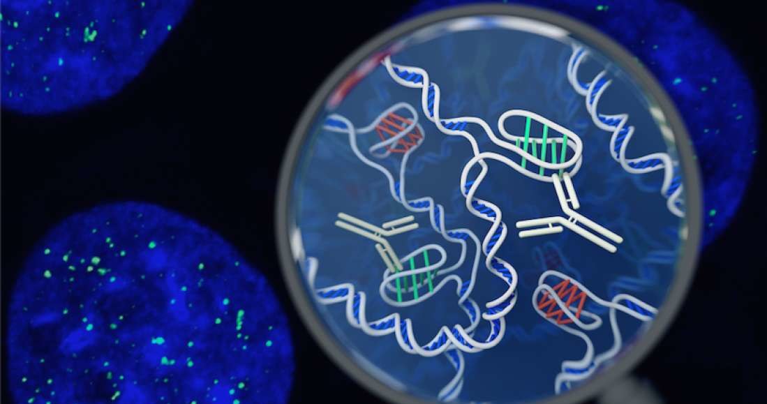 DNA wciąż skrywa wiele tajemnic /materiały prasowe