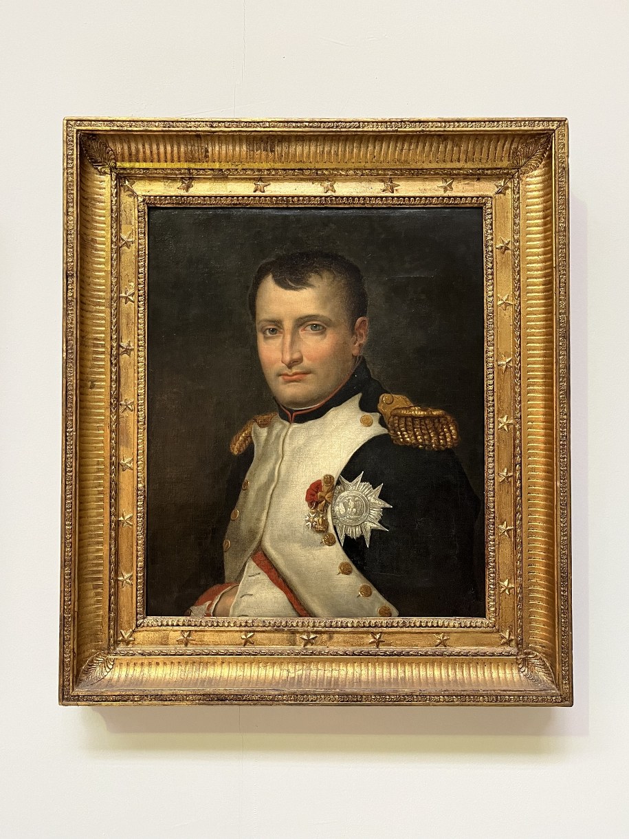 DNA żołnierzy odkrywa możliwe przyczyny klęski Napoleona w Rosji /Shutterstock