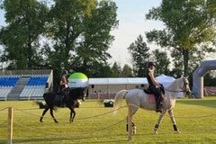 Dni Konia Arabskiego w Janowie Podlaskim