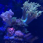 Dno oceanu w centrum Polski. Orientarium w Łodzi