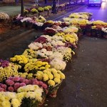 Do 11 zł za doniczkę. Tyle od rządu dostaną sprzedawcy kwiatów przy cmentarzach