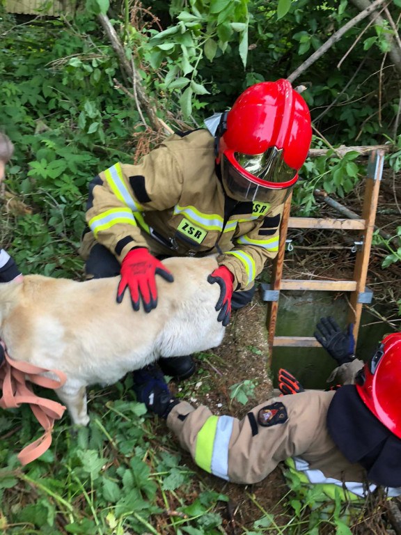 Do akcji pojechali strażacy ze Szczecinka i Wojewódzkiego Ośrodka Szkolenia PSP w Bornem Sulinowie. /KP PSP Szczecinek /