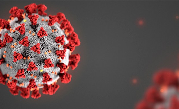 Do Brazylii trafiły z Europy dwa różne koronawirusy. Szczepy różnią się od tego z Wuhanu