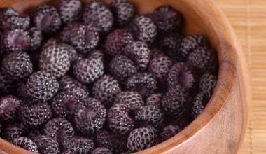 Do chrupania zamiast chipsów. Pracują na dobrostan serca, lepszą pracę mózgu i odpowiednią wagę