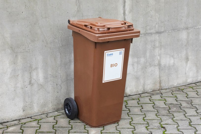 Do frakcji bio NIE wrzucamy mięsa, kości, popiołu, ziemi, kamieni ani odchodów. /MPO Kraków