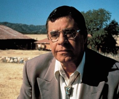 Do historii przeszła też jego rola w Arizona Dream" (1992) Emira Kusturicy. W 1996 roku Lewis zagrał w komedii "Umrzeć ze śmiechu", po czym zrobił sobie osiemnastoletnią przerwę od kina. Powrócił tytułową rolę w obrazie "Max Rose" (2013). W 2016 roku po raz ostatni wystąpił na dużym ekranie w produkcji "Skarbiec", w której w główną rolę wcielał się Nicolas Cage.