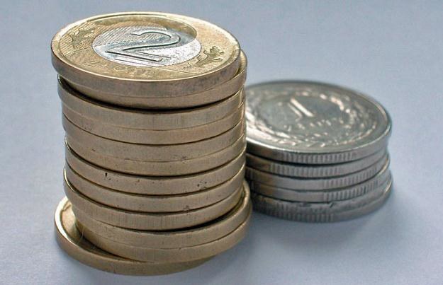 Do końca 2011 r. złoty powinien być stabilny /fot. Andrzej Wawok /Reporter
