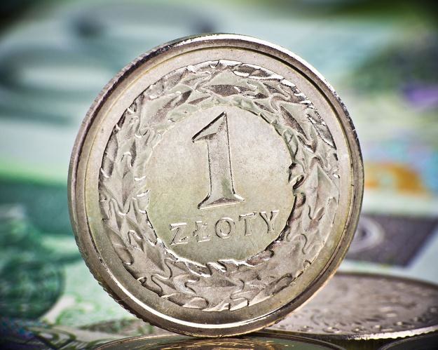 Do końca tego tygodnia złoty powinien utrzymać poziom 4,15 za euro /&copy;123RF/PICSEL