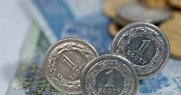 Do końca tego tygodnia złoty pozostanie stabilny /Agencja SE/East News