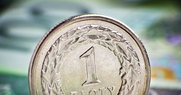 Do końca tygodnia złoty powinien utrzymać się w przedziale 4,10-4,12 za euro /&copy;123RF/PICSEL