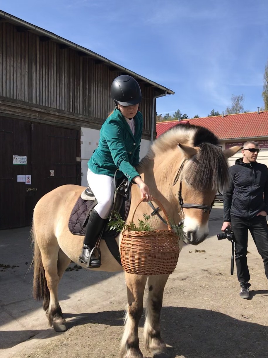 Do koszyków, oprócz tradycyjnych pokarmów na szczecińskim Osowie trafiają tez przysmaki dla koni. /Aneta Łuczkowska /RMF FM