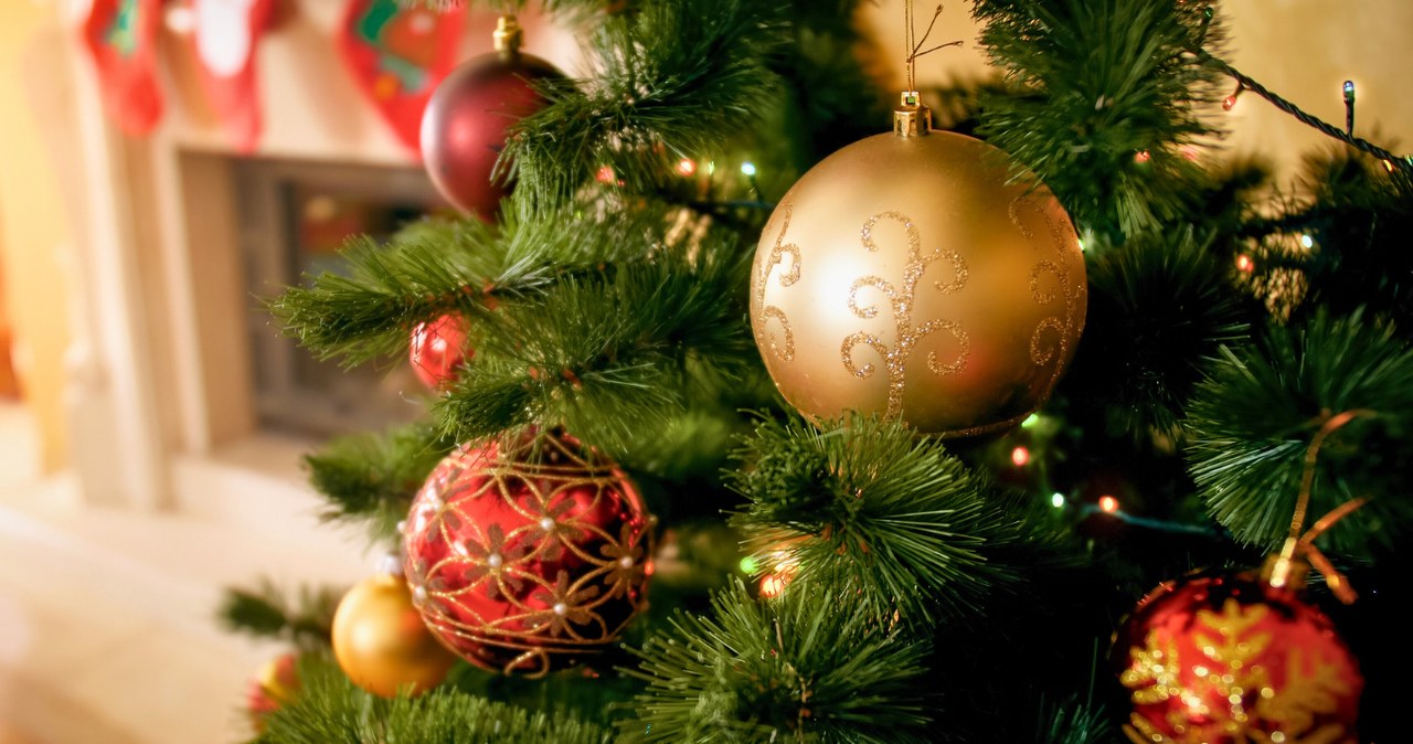 Do którego powinna stać choinka? To ważna data /kryzhov /123RF/PICSEL