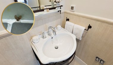 Do łazienek i kuchni zlatują się małe, okrągłe muszki. To oznacza problem