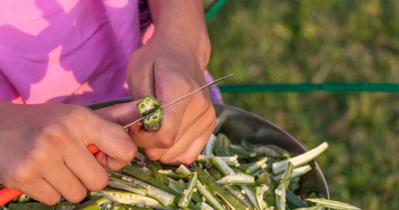 Do niedawna okra nie była zbyt popularna w polskiej kuchni /123RF/PICSEL