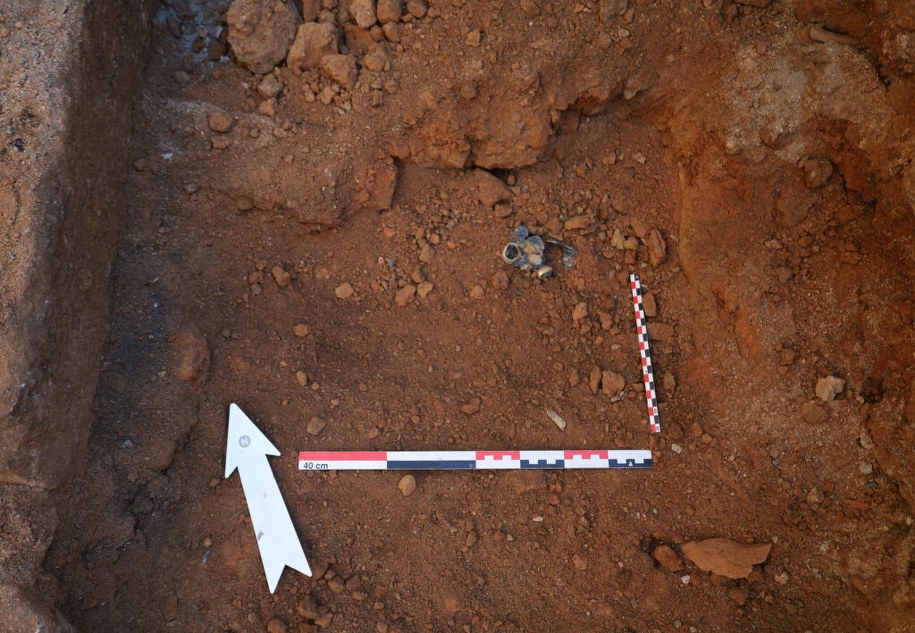 Do odkrycia doszło w ruinach rzymskiej willi sprzed około 1900 lat w Histrii /Muzeum Narodowe Historii Rumunii /Materiały prasowe