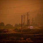 Do Polski dotarł pył z pożarów lasów w Kanadzie