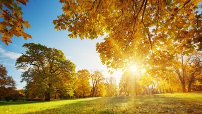 Do Polski nadchodzi późne babie lato. Temperatura sięgnie 22 st. Celsjusza