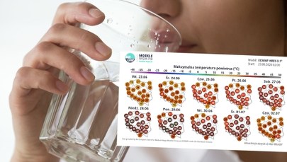 Do Polski sunie fala upałów. Czy można odmówić pracy z powodu wysokich temperatur?