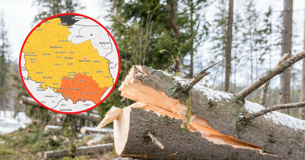 Do Polski zbliżają się potężne wichury. Prędkość wiatru może przekroczyć 120 km/h. Gdzie będzie niebezpiecznie? /Piotr Korczak /East News
