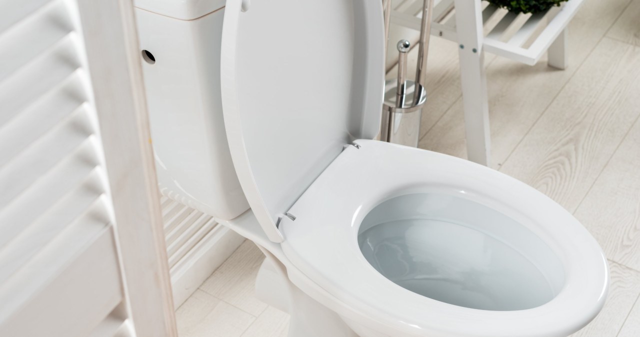 Do pozbycia się uporczywego kamienia z toalety wystarczy 1 tabletka do zmywarki. /123RF/PICSEL